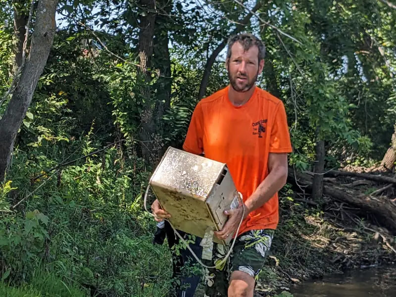 Tree Services