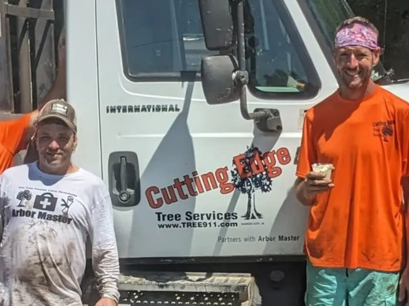 Tree Services