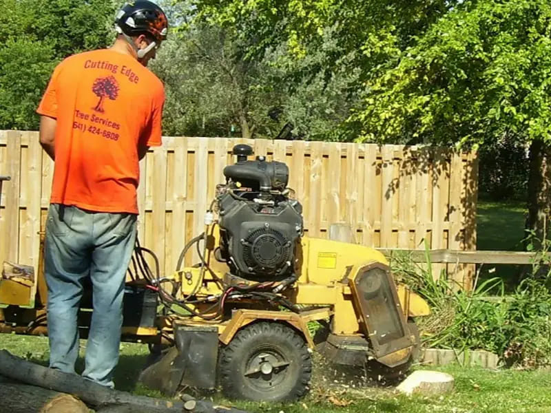 Tree Services