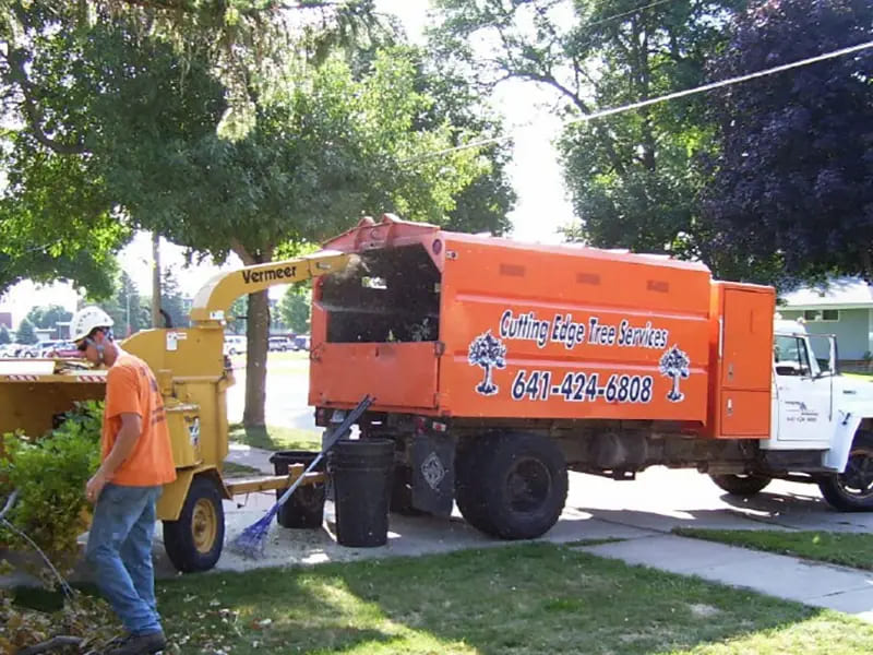 Tree Services