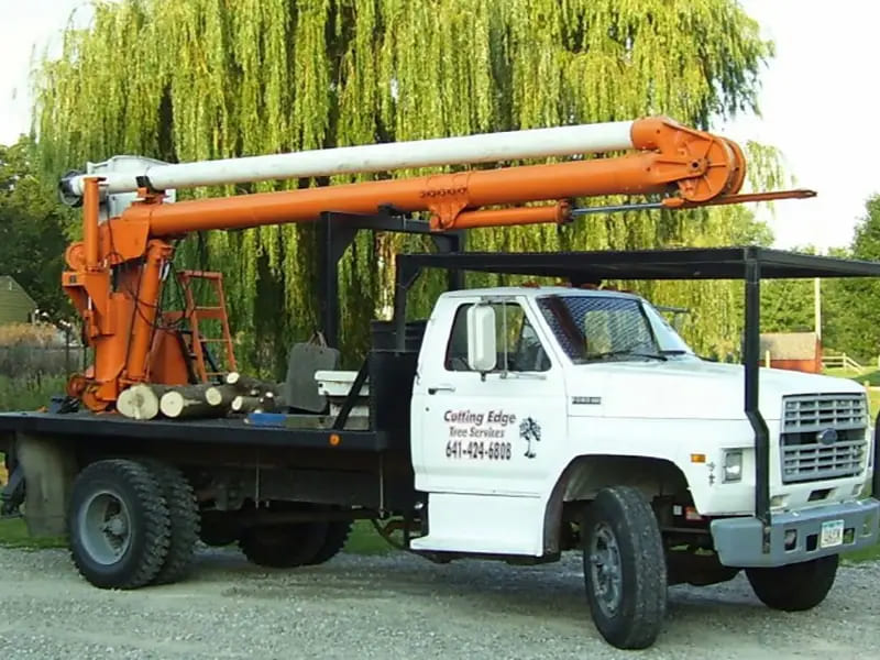 Tree Services