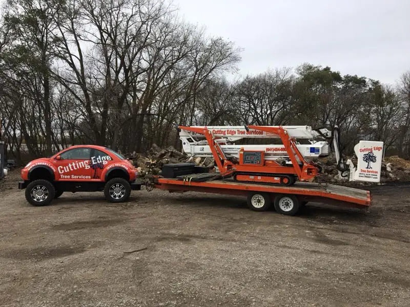 Tree Services
