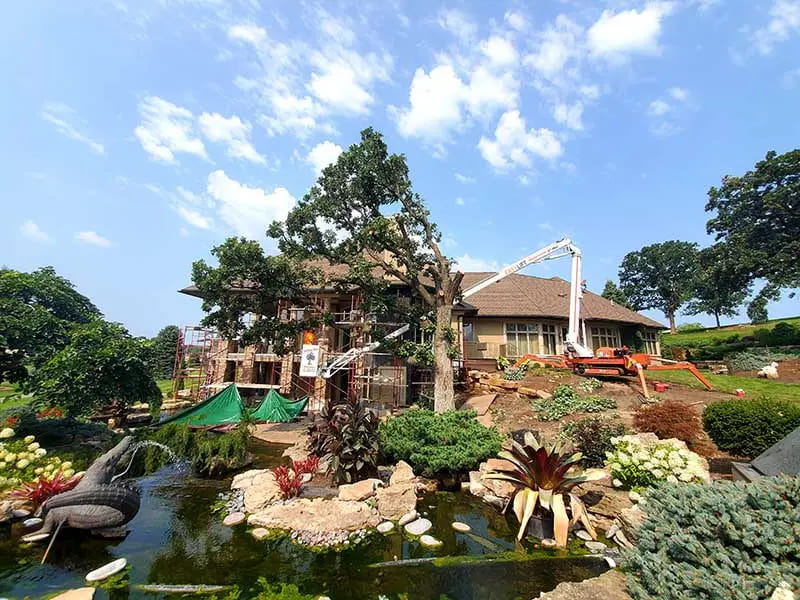 Tree Services