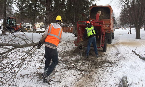 Brush Chipping Cutting Edge Tree Services Mason City Ia