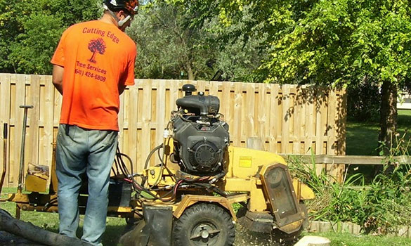 Stump Grinding Cutting Edge Tree Services Mason City Ia